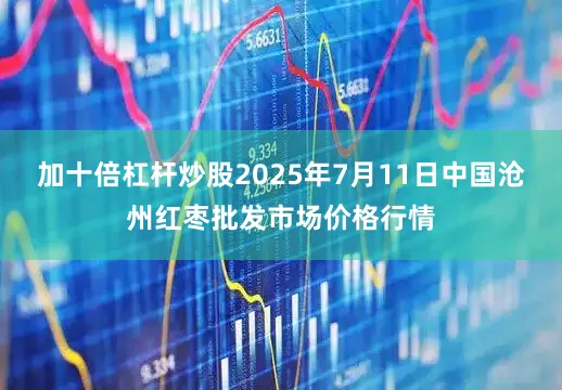 加十倍杠杆炒股2025年7月11日中国沧州红枣批发市场价格行情