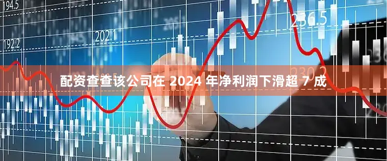 配资查查该公司在 2024 年净利润下滑超 7 成